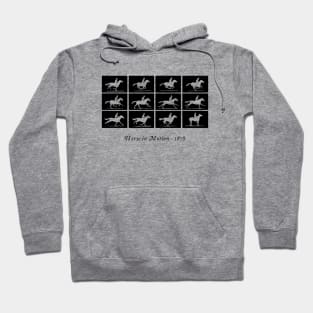 Horse in motion (black) Hoodie